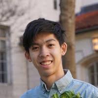 800+ "Pham" profiles