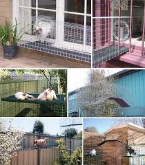 E Ai Gostou Catnip Modular Cat Enclosures Keeping Cats Safe In Australia Outdoor Cat Enclosure Cat Enclosure Outdoor Cats