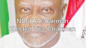 NDLEA chairman elected 1st vice chairman of HONLEA