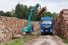 Wald & sons moving & storage we are dedicated to providing the best self storage experience! Long Term Storage Of Roundwood An Overview Of Methods Waldwissen Net
