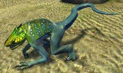 Maybe you would like to learn more about one of these? Veteran Gebirgsskelk Guild Wars 2 Wiki