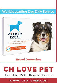 Pin On Ch Pet Supplies Products