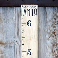 Little Acorns Diy Vinyl Growth Chart Ruler Decal Kit Our Growing Family Modern