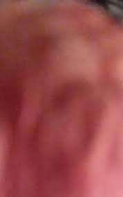 Image result for Lapointe the holy grail name