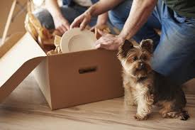 We are specialists in pet travel and pet relocation both domestically and internationally. Cost Of Moving Pets Overseas International Pet Shipping