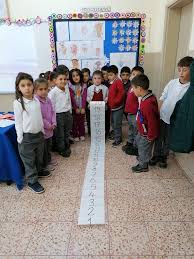 Sayilari Ogreniyoruz Cannur Haznedar Egitim Matematik Calisma