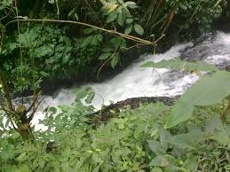 Seakan memasuki wilayah berbeda, penuh pepohonan, aroma , atmosfir dan situasinya sungguhlah berbeda. Curug Tujuh Panjalu Diciamis Com