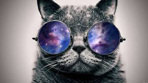 Wallpaper for your phone cat wallpaper tumblr wallpaper cellphone wallpaper black wallpaper lock screen wallpaper mobile wallpaper wallpaper backgrounds iphone wallpapers. Free Download Cat Wallpaper Tumblr 1920x1080 For Your Desktop Mobile Tablet Explore 72 Cool Cat Backgrounds Cool Desktop Wallpapers Kitten Wallpapers Free Download Xxlrg Wallpaper Cats With Quotes