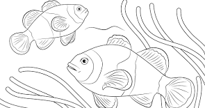 30 gambar gunung kartun hitam putih spesial. Kumpulan Gambar Dekoratif Ikan Hias Hd Terbaru Infobaru Koleksi Gambar Dekoratif Ikan Hitam Putih Terlengkap Gambar Ka Halaman Mewarnai Sketsa Buku Mewarnai