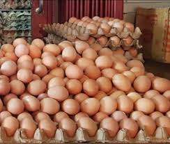 Dengan posisi bediri, maksimal 1080 butir telur ayam atau bebek bisa masuk kedalamnya. Infopublik Jual Beli Sepi Harga Telur Ayam Ras Turun Di Pasaran