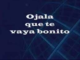 Ojala que se acaben tus penas. Que Te Vaya Bonito Vicente Fernandez Letra Wmv Youtube