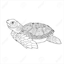 Until then, these turtle coloring pages will have to do. Sea Turtle Coloring Book Hand Drawing Coloring Book For Children Royalty Free Cliparts Vectors And Stock Illustration Image 143775296