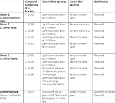 Image result for Aptosimum albomarginatum