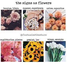 Quot Mi Piace Quot 7 664 Commenti 58 3 Fwends Zodiactrics Su Instagram Quot They Are All So Be Zodiac Signs Zodiac Signs Capricorn Zodiac Signs Leo