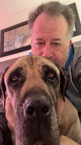 Had to say good bye to my Alex. 💔 His hart and soul was still the giant,  but the body just would not keep up. Just over 10years old.