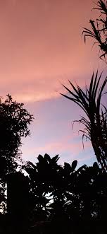 Maybe you would like to learn more about one of these? Langit Sore Hari Dan Awan Yang Indah Sekali Latar Belakang Estetika Langit Langit