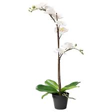 Fejka Plante Artificielle En Pot Orchidee Blanc 4 12 Cm Plantes Artificielles Decoration Plante Et Orchidee Blanche
