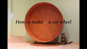 Contrary to popular opinion, building a diy cat exercise wheel is quite simple if you know how, and your cat will definitely thank you for being so dedicated to maintaining his health. How To Build A Cat Wheel Tuxedo Cat