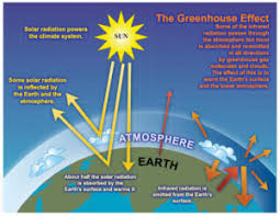 Cara mengatasi maag yang baik dan benar, bisa menjadi pedoman penting untuk. Kesan Rumah Hijau Life Knowledge