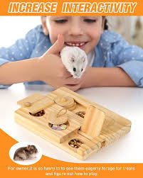 MWAOWM Guinea Pig Foraging Toys, 6 in 1 Hamsters Wooden Interactive  Enrichment Toys, Treat Dispenser for Small Animal Funny Toys, for Rabbits,  Bunny, Chinchillas, Rats and Gerbils : Pet Supplies