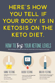 Site Search Discovery Powered By Ai Ketogenic Diet For Beginners Ketogenic Diet Ketogenic