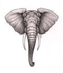 We did not find results for: Elephant Head Drawing Side Novocom Top