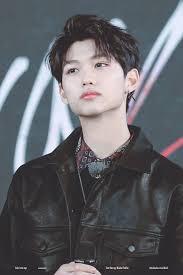 1 profile 2 credits 2.1 stray kids discography 3 solo live broadcasts stage name: Felix Stray Kids Updated On Pinterest By Aliengabs51 Felix Stray Kids Kid Memes Stray