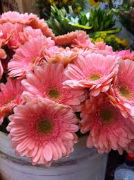 Peonies, anemones, branches, garden roses. Vinny S Plants Flowers Home Facebook