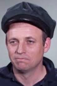 Watch The Fugitive (1963) TV Series Free Online