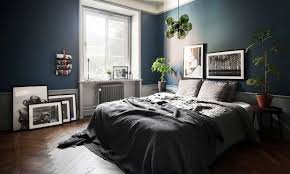 De esta forma, no solo es bueno tener cactus en la casa sino que además es totalmente recomendable. Feng Shui Como Colocar Y Elegir Tus Plantas De Interior Foto 1