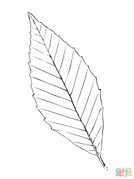 Palm Leaf Coloring Page Lovely Palm Tree Leaves Drawing At Getdrawings In 2020 Leaf Coloring Page Leaf Coloring Coloring Pages