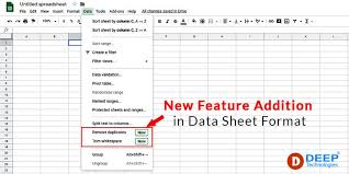New Feature Addition In Google Data Sheet Format Deepit Data Sheets Data Data Validation