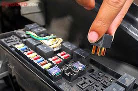We did not find results for: Pengetahuan Tentang Fungsi Fuse Sikring Mobil Indonesia Fortuner Community