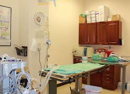 Emergency veterinarians, veterinary technicians, and veterinary assistants are on staff 24 hours a day. Randall Orchard Crossing Animal Hospital 1045 W Orchard Rd North Aurora Il 60542 Usa