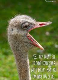 Tell your best friend that they are your favorite person, hug them, share something funny with them, call them in the middle of the night only to remind them how awesome they are. Hilarious Jokes And Funny Messages For Friends