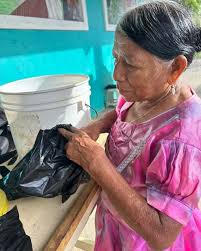 Image result for Nicolasia