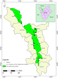 Image result for Casearia runssorica