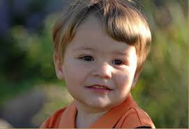 ABOUT THE FOUNDATION