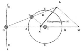 You know that i'm gonna be your friend. Theory Of Tides Wikipedia