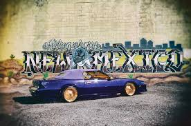 Image result for Bleu 1989 ARO