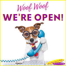 Contact Dog Day Every Day Dog Spa Dog Care Dog Care Tips