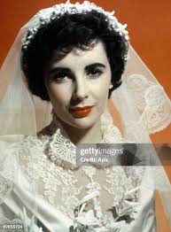 312 Liz Tracy Stock Photos, High-Res Pictures, and Images