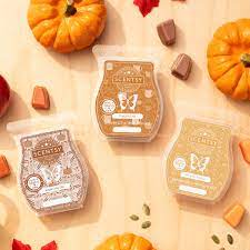 It's time to make your list because these goodies will. Scentsy 2020 Harvest Collection Scents By Berni