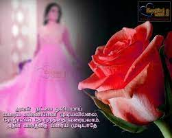 Pin By Bhuvana Jayakumar On Tamil Quotes Flowers Plants Rose