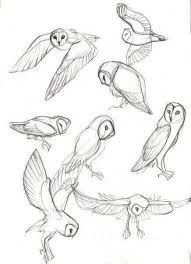 Drawingfusion Com Animal Sketches Animal Drawings Bird Drawings