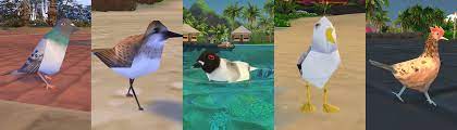 Many small birds are commonly kept as pets. Birds In The Sims 4 A Collection Sims4