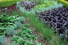 Crop Rotation Planning for 2027