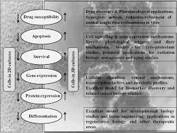We did not find results for: 3d Cell Culture Systems Advantages And Applications Ravi 2015 Journal Of Cellular Physiology Wiley Online Library