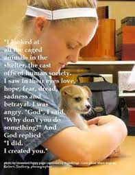 34 Vet Tech Quotes Ideas Vet Tech Quotes Vet Tech Vets