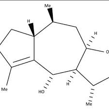 Image result for Geigeria burkei